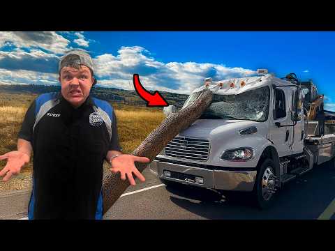 Видео: МЫ ЧУТЬ НЕ УМЕРЛИ!