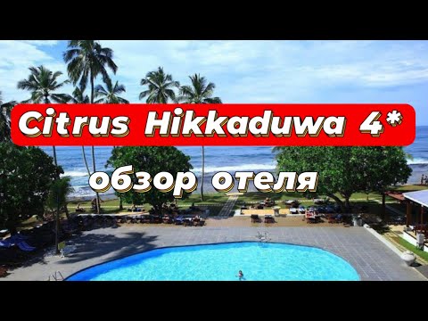 Видео: Citrus Hikkaduwa 4* отель цена качество на Шри Ланке