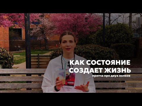 Видео: внутреннее состояние создает твою жизнь. притча про двух волков в человеке