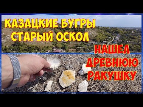 Видео: Старый Оскол | Казацкие Бугры | Нашел древнюю ракушку