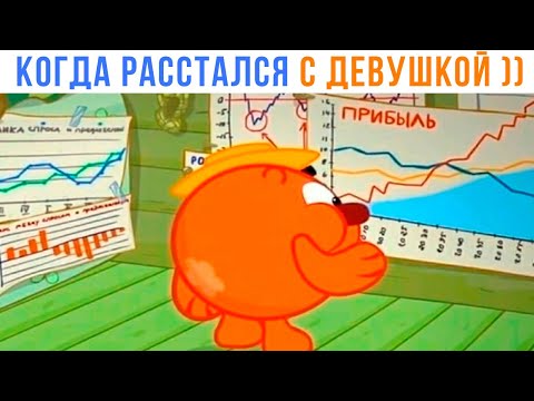 Видео: КОПАТЫЧ МАТЕМАТИК ))) Приколы | Мемозг 1681