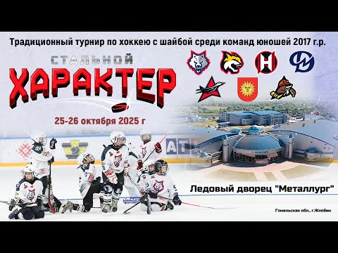 Видео: 26.10.2025. СХ. 2017. Финал. Гомель-1 - Неман-1