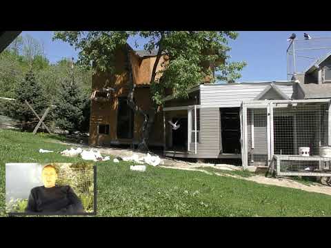 Видео: 01.05.2024 Хорошая игра. Линейное разведение (помогает вернуть и закрепить летные качества голубей).