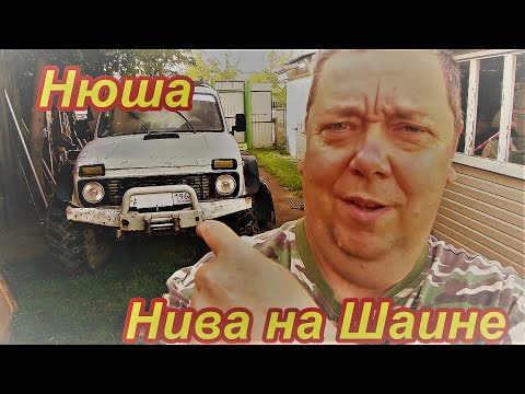Видео: Вездеход Нива 4Х4 на шаине