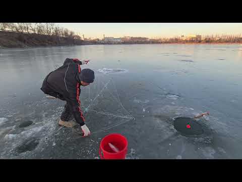 Видео: эти хапуги просто ловят и ловят я в шоке 🙀 #рыбалка #fishing #낚시 #carpfishing #кинонавечер