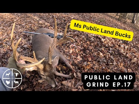 Видео: Мисс Рут Экшн!!! #PUBLICLANDGRIND Эпизод 17