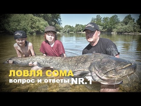 Видео: О ловле сома. Вопросы и ответы #1