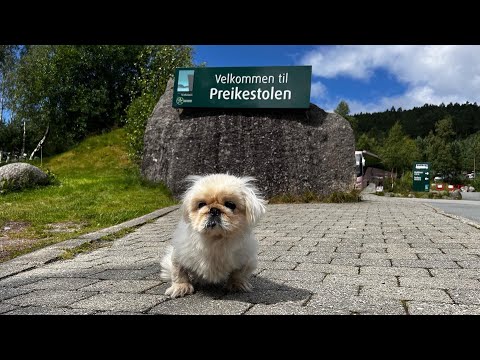 Видео: ч2. Поход туда, куда не нужно было идти…😱 На Таврии за Полярный круг 37 серия!