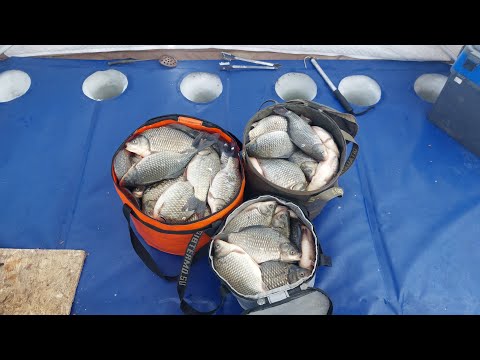 Видео: Попал на пулеметный клев! 100 литров рыбы за 5 часов!