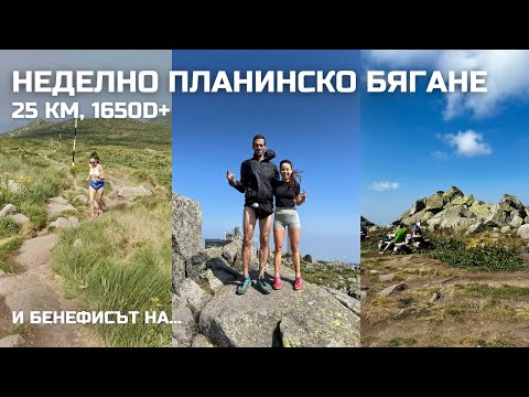 Видео: Неделно планинско бягане 25 км, 1650D+ | Бенефисът на...