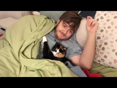 Видео: Вы не поверите, как хорошо этот кот подражает людям! 😸 Моменты о кошках и людях