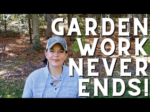 Видео: Садовые проекты никогда не прекращаются!