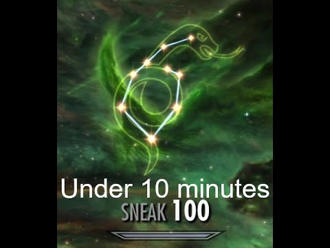 Видео: Skyrim Max Sneak AFK и ручной способ