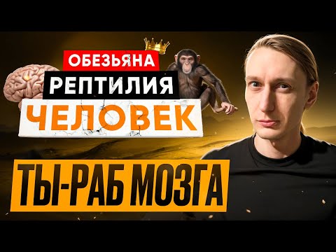 Видео: Ты в рабстве у мозга и вот почему