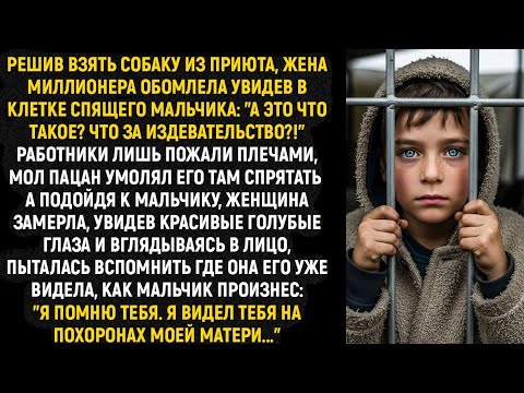 Видео: Решив взять собаку из приюта, жена миллионера обомлела увидев в клетке спящего мальчика...