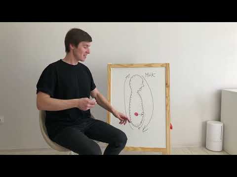 Видео: Упражнение Чжун Юань Цигун - Малый небесный круг МНК