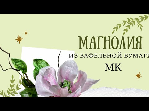 Видео: Магнолия из вафельной бумаги МК/Wafer Paper Magnolia 🌸