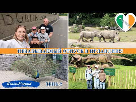 Видео: ИРЛАНДИЯ / ДЕНЬ 2 / ДУБЛИНСКИЙ ЗООПАРК / ТАНЕЦ ПАВЛИНА / ДИНОЗАВРЫ!!!