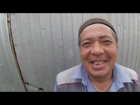 Видео: Большой Искак аул в Шербакульском районе Омской области/Bolshoy Iskak aul in the Omsk region