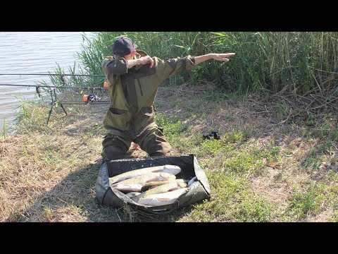 Видео: Белый Амур Клевал Без Остановки! Ночная рыбалка!!!