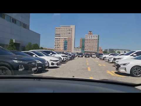 Видео: Корея, дилърски търг Glovis.Автомобили на реални км.