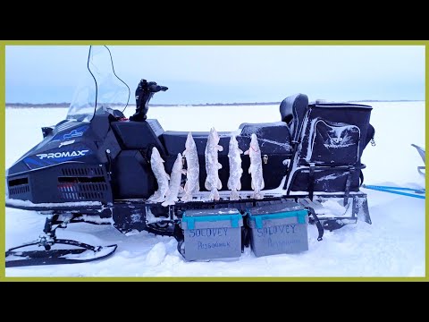 Видео: Рыбалка на жерлицы возле города река Обь.