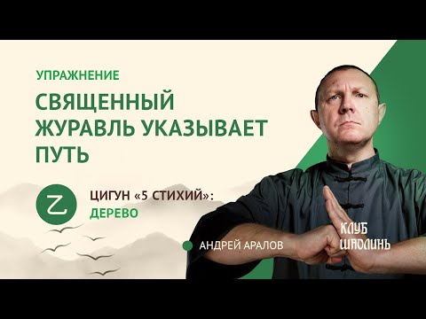 Видео: Комплекс цигун 5ти стихий на весну: укрепление печени и желчного пузыря. А.В.Аралов.