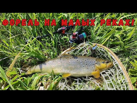 Видео: По малым рекам Синеокой!