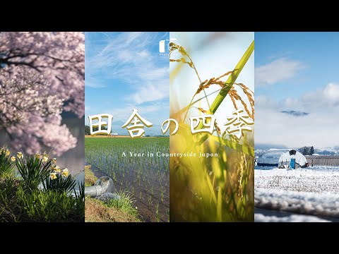 Видео: Японская деревня: Весна, Лето, Осень, Зима | 2025