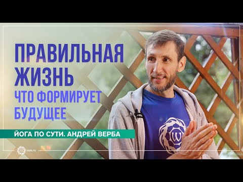 Видео: Правильная жизнь. Что формирует будущее. Андрей Верба