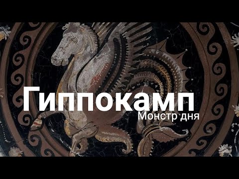 Видео: Гиппокамп. Морской конь, на котором рассекали античные боги
