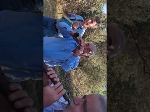 Видео: 15 сентября 2021 г.(3)