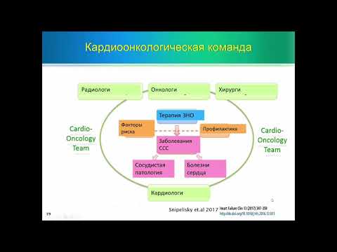 Видео: Противоопухолевая терапия и кардиотоксичность: случайное сочетание или характерная закономерность