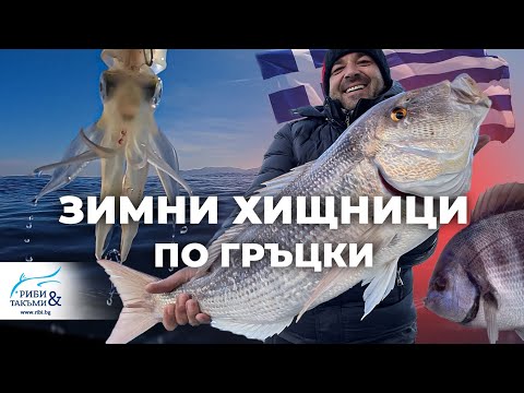 Видео: Зимни ХИЩНИЦИ по ГРЪЦКИ / 1 - част