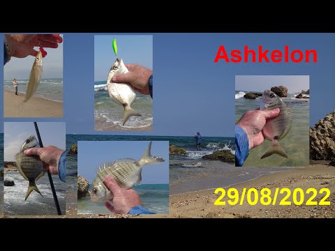 Видео: 4K 29/08/2022 אשקלון Ашкелон Ashkelon דיג рыбалка fishing  גן לאומי / חוף זיקים