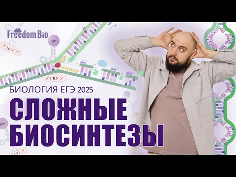 Видео: МАТРИЧНЫЕ БИОСИНТЕЗЫ - Репликация, Транскрипция, Трансляция |Генетика| ЕГЭ БИОЛОГИЯ 2025|Freedom|