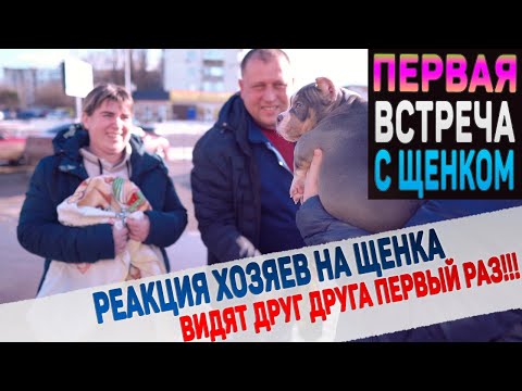 Видео: Щенки уезжают в новые дома! Как их встретят и какие клички дадут? Первые кадры из дома!