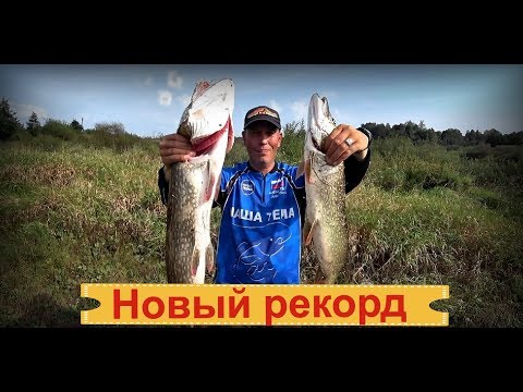 Видео: Щука. Днепровские монстры. Новый личный рекорд по щуке