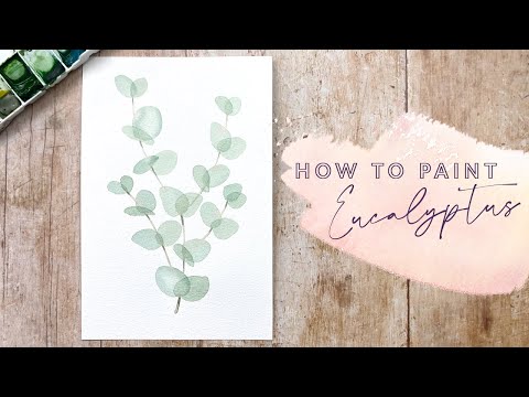 Видео: Как нарисовать эвкалипт акварелью
