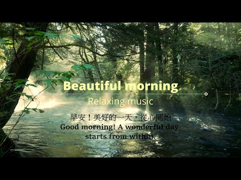 Видео: 《Ежедневные моменты》Прекрасное утро🎵｜Концентрация внимания и чтение｜Музыка для релаксации