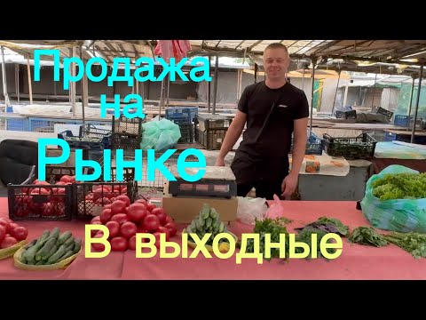 Видео: Решили заработать денег 💵$💵.Такого количества помидор у нас ещё не было 