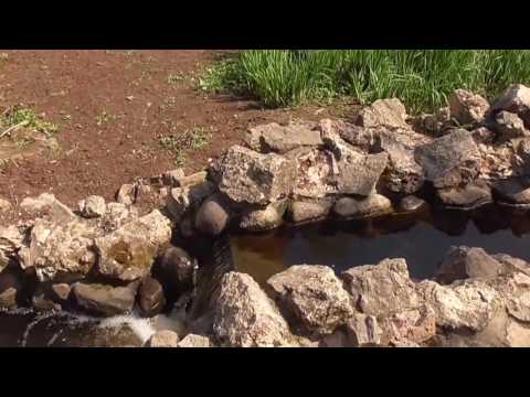 Видео: ПАРКИ И СКВЕРЫ РИГИ