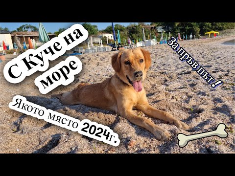 Видео: С КУЧЕ НА МОРЕ ЗА ПЪРВИ ПЪТ - В КЪМПИНГ ЯКОТО МЯСТО !!!