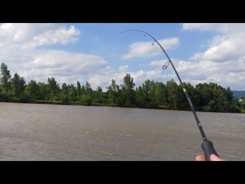 Видео: ЛОВЛЯ ГОЛАВЛЯ. ГОЛАВЛЬ .як ловити голавля. голавль на спінінг