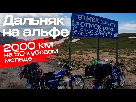 Видео: Эпичное мотопутешествие через горы Кыргызстана на мопедах,дальняк 2000км на мопеде,дальняк на альфе