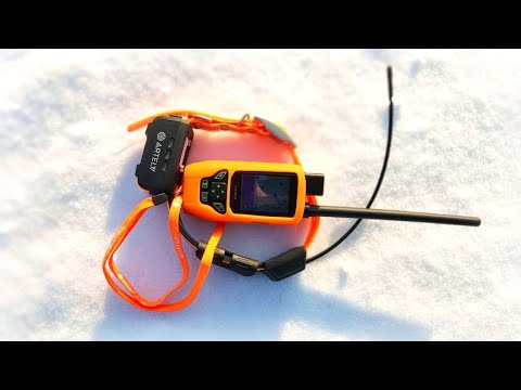 Видео: В помощь гончатникам! GPS ошейник Artelv Tracker для отслеживания собак.