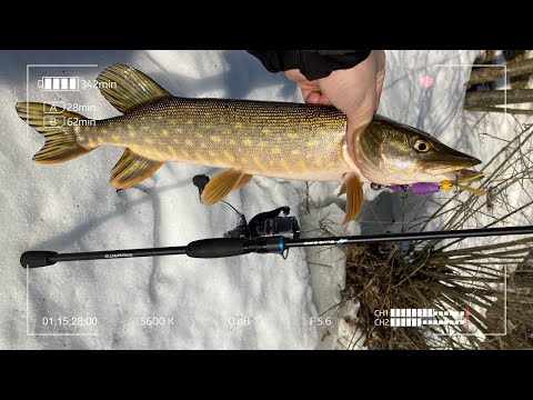 Видео: Ловля Щуки на Мандулу среди льдин.