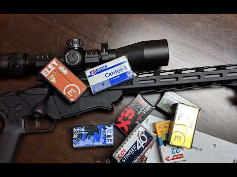 Видео: Сравнение патронов Ruger Precision Rimfire. Часть 2
