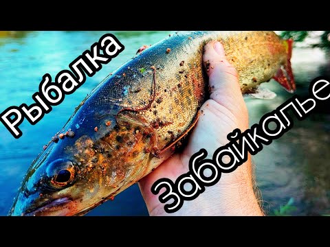 Видео: ВПЕРВЫЕ РЫБАЧУ В ЗАБАЙКАЛЬСКОМ КРАЕ!
