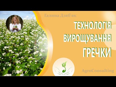 Видео: Стратегічні культури у воєнний час. Технологія вирощування гречки